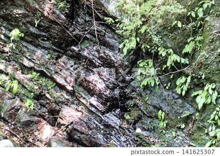 Rock face and water flow next to the waterfall basin (Inunaki Mountain) Rock face and water flow next to the waterfall basin (Inunaki Mountain) 141625307