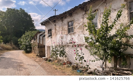 Century old village house in Harmankoy, Bilecik, nestled in green nature with rustic textures and timeless rural charm. Century old village house in Harmankoy, Bilecik, nestled in green nature with rustic textures and timeless rural charm. 141625766