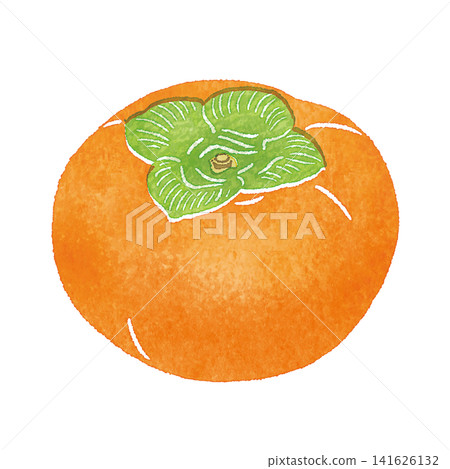 手繪水彩柿子插圖 | 秋季風味,水果,白色背景 手繪水彩柿子插圖 | 秋季風味,水果,白色背景 141626132