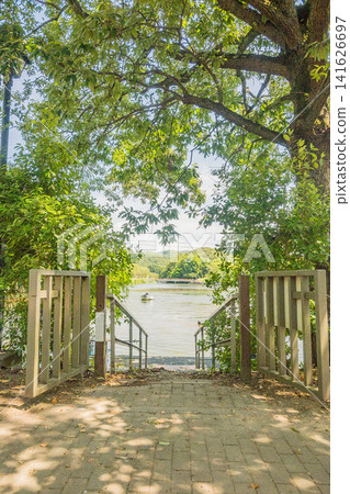 Okayama Prefecture (August) [Park] The lake in the park where the summer greenery has deepened. 141626697