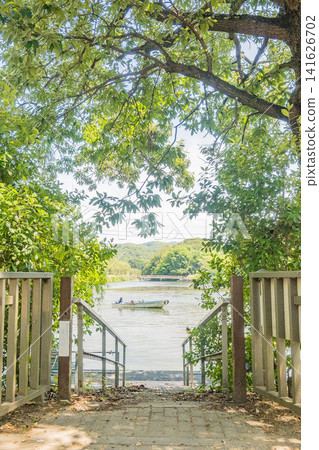 Okayama Prefecture (August) [Park] The lake in the park where the summer greenery has deepened. 141626702