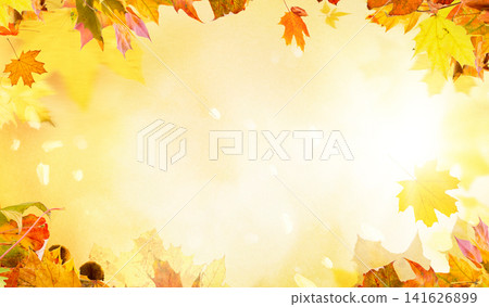 Autumn Leaves Border with Warm Yellow Background and Copy Space Autumn Leaves Border with Warm Yellow Background and Copy Space 141626899