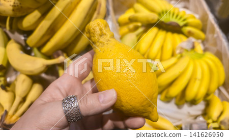 Ugly lemons in a wooden crate on a market counter. Supermarket counters. Ugly lemons in a wooden crate on a market counter. Supermarket counters. 141626950