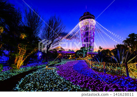 [The Jewel of Shonan] The illumination of Enoshima Sea Candle, shining in the twilight. 141628011