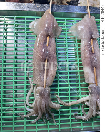 Photographing neatly arranged squid at a night market stall, ready for grilling. 141628442