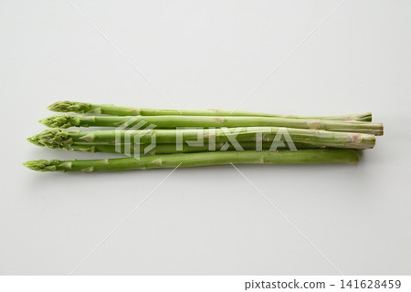 蘆筍 蘆筍 141628459