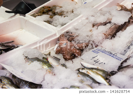 Fresh Octopus and Assorted Fish Displayed on Ice at Traditional Mediterranean Market Fresh Octopus and Assorted Fish Displayed on Ice at Traditional Mediterranean Market 141628754