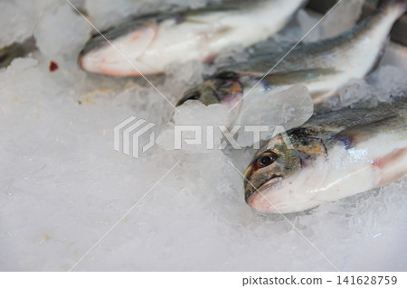 Freshly Caught Sea Bream Fish Displayed on Crushed Ice for Sale Freshly Caught Sea Bream Fish Displayed on Crushed Ice for Sale 141628759