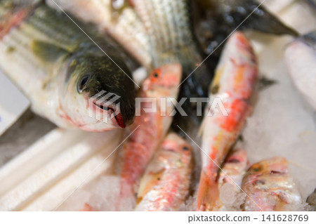 Freshly Displayed Assortment of Fish on Ice in a Market Stall Ready for Culinary Preparation Freshly Displayed Assortment of Fish on Ice in a Market Stall Ready for Culinary Preparation 141628769