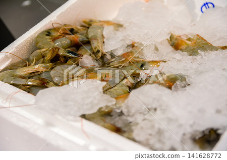 Fresh Prawns Displayed on Crushed Ice Displayed in White Container Food Market Seafood. Fresh Prawns Displayed on Crushed Ice Displayed in White Container Food Market Seafood. 141628772