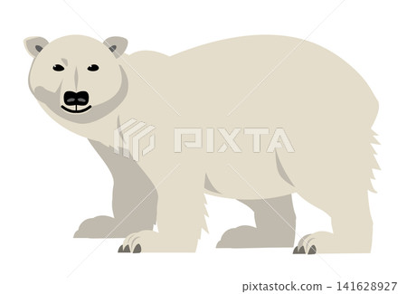 北極動物:北極熊 北極動物:北極熊 141628927