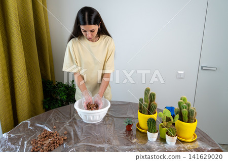 Young Woman Putting Expanded Clay Pebbles in Bowl for Cactus Repotting Young Woman Putting Expanded Clay Pebbles in Bowl for Cactus Repotting 141629020