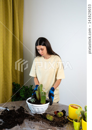 Young Female Gardener in Gloves Creating Cactus Arrangement in White Bowl Young Female Gardener in Gloves Creating Cactus Arrangement in White Bowl 141629033