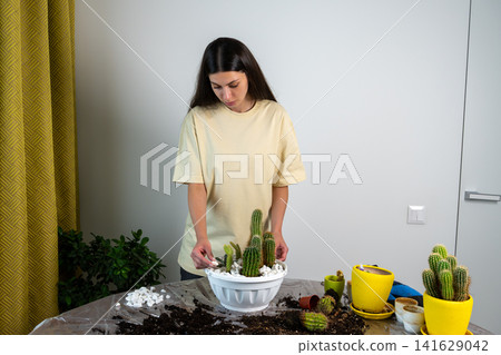 Young Brunette Female Gardening and Decorating Cactus Pot with White Pebbles Young Brunette Female Gardening and Decorating Cactus Pot with White Pebbles 141629042
