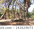 敷島公園松林 141629073