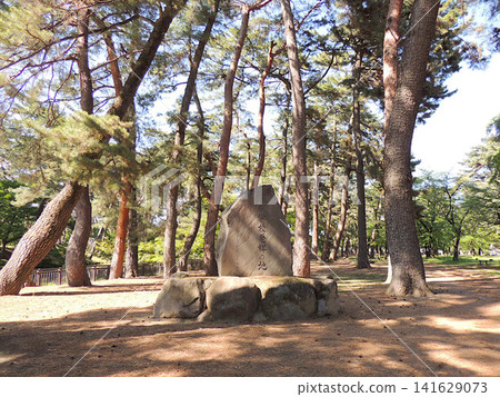 Shikishima Park Pine Forest Shikishima Park Pine Forest 141629073