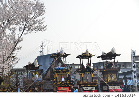 Inuyama City, Aichi Prefecture, Japan: The Inuyama Festival in spring, with cherry blossoms in full bloom, and the sight of floats and mechanical puppets being offered at the Inuyama Castle Square. Inuyama City, Aichi Prefecture, Japan: The Inuyama Festival in spring, with cherry blossoms in full bloom, and the sight of floats and mechanical puppets being offered at the Inuyama Castle Square. 141630314