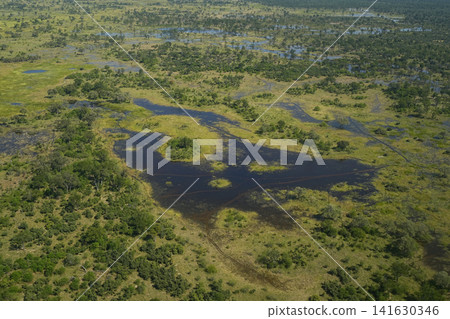 Okavango Delta Okavango Delta 141630346