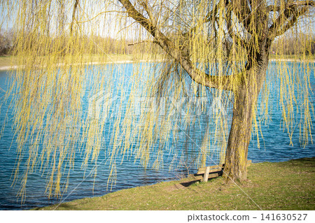 Emmeringer Lake near Fuerstenfeldbruck in Bavaria Germany, calm bathing lake with clear water, green trees and natural shoreline in early spring outdoor recreation landscape Emmeringer Lake near Fuerstenfeldbruck in Bavaria Germany, calm bathing lake with clear water, green trees and natural shoreline in early spring outdoor recreation landscape 141630527