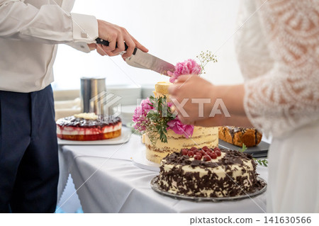 Wedding couple cutting rustic tiered cake decorated with pink flowers during celebration reception Wedding couple cutting rustic tiered cake decorated with pink flowers during celebration reception 141630566