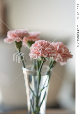Soft pink carnations in clear glass vase on wooden table in bright home interior, minimal floral decoration with copy space Soft pink carnations in clear glass vase on wooden table in bright home interior, minimal floral decoration with copy space 141630634