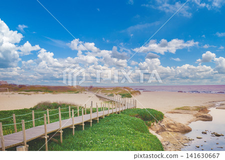 The wooden footpath on the sandy seashore on a sunny day. Porto, Portugal, Europe 141630667