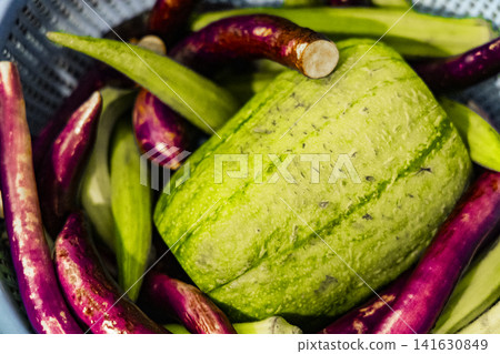 Local cuisine: present light green patterned and refreshing texture of Jeongshu Taiwan's woven melon (caymelon) and seasoned vegetables Local cuisine: present light green patterned and refreshing texture of Jeongshu Taiwan's woven melon (caymelon) and seasoned vegetables 141630849