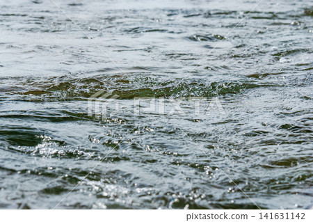 春天清澈溪流:湍急水流的特寫 29 春天清澈溪流:湍急水流的特寫 29 141631142