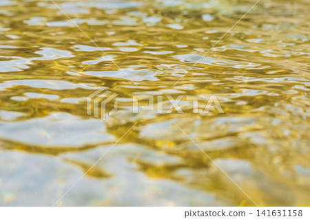 Springtime clear stream, shimmering water surface, low angle 10 Springtime clear stream, shimmering water surface, low angle 10 141631158