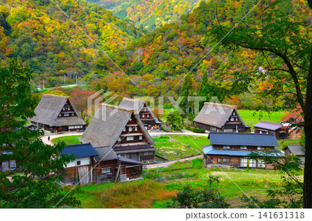 秋天的五簇山菅沼合掌村 秋天的五簇山菅沼合掌村 141631318