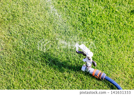 Watering the lawn on a sunny day. Sprinkles of water shoot out forcefully from the sprinklers and hoses. Watering the lawn on a sunny day. Sprinkles of water shoot out forcefully from the sprinklers and hoses. 141631333