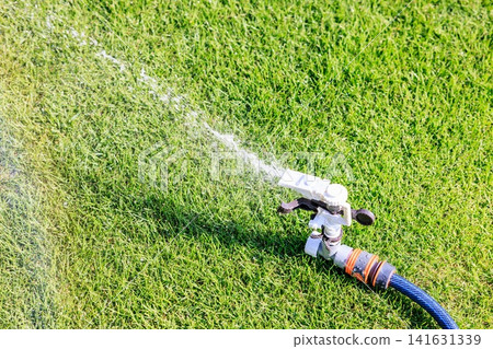 Watering the lawn on a sunny day. Sprinkles of water shoot out forcefully from the sprinklers and hoses. Watering the lawn on a sunny day. Sprinkles of water shoot out forcefully from the sprinklers and hoses. 141631339