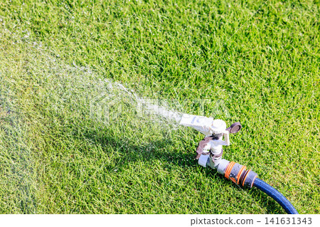 Watering the lawn on a sunny day. Sprinkles of water shoot out forcefully from the sprinklers and hoses. Watering the lawn on a sunny day. Sprinkles of water shoot out forcefully from the sprinklers and hoses. 141631343