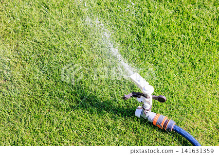 Watering the lawn on a sunny day. Sprinkles of water shoot out forcefully from the sprinklers and hoses. Watering the lawn on a sunny day. Sprinkles of water shoot out forcefully from the sprinklers and hoses. 141631359