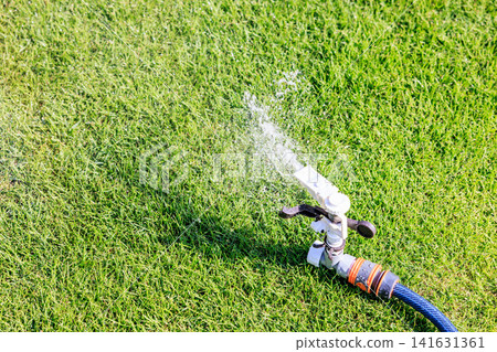 Watering the lawn on a sunny day. Sprinkles of water shoot out forcefully from the sprinklers and hoses. Watering the lawn on a sunny day. Sprinkles of water shoot out forcefully from the sprinklers and hoses. 141631361