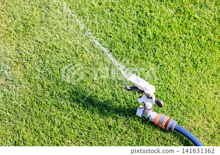 Watering the lawn on a sunny day. Sprinkles of water shoot out forcefully from the sprinklers and hoses. Watering the lawn on a sunny day. Sprinkles of water shoot out forcefully from the sprinklers and hoses. 141631362