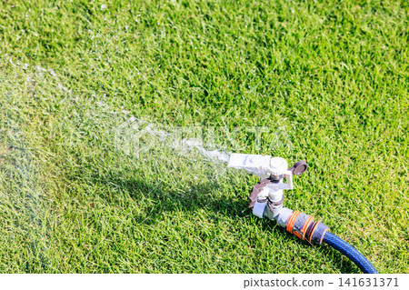 Watering the lawn on a sunny day. Sprinkles of water shoot out forcefully from the sprinklers and hoses. Watering the lawn on a sunny day. Sprinkles of water shoot out forcefully from the sprinklers and hoses. 141631371