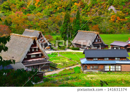 Autumn Gokayama Suganuma Gassho Village Autumn Gokayama Suganuma Gassho Village 141631374
