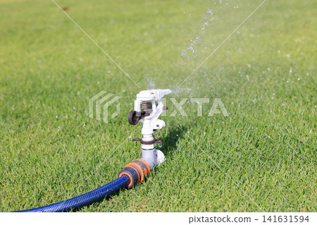 Sprinklers and water splashes onto the vibrant green lawn. Sprinklers and water splashes onto the vibrant green lawn. 141631594