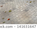 A background of cobblestones with fallen leaves 141631647