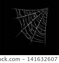 Isolated Halloween spider web and cobweb threads, spiderweb texture. Delicate eerie spider web featuring network of sticky threads. Vector cobweb for Halloween party decorations and greeting cards 141632607