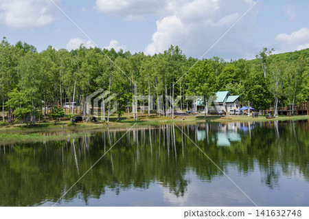 北海道和佐武町南岡森林公園初夏的自然景觀,有池塘和新鮮的綠色植物。 北海道和佐武町南岡森林公園初夏的自然景觀,有池塘和新鮮的綠色植物。 141632748