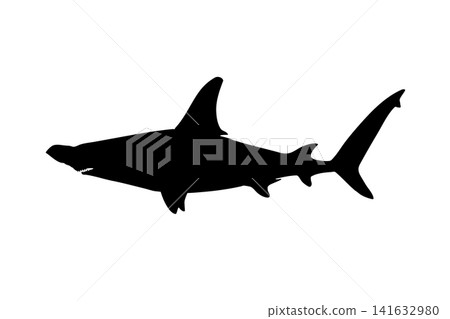 Silhouette illustration of a scalloped hammerhead shark on a white background. Silhouette illustration of a scalloped hammerhead shark on a white background. 141632980