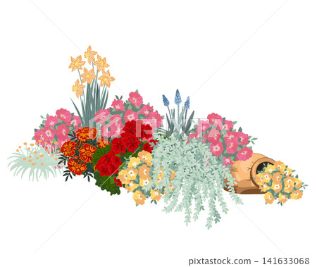 Elegant Spring garden composition with petunia flowers, narcissus, muscari, geranium, and sedum. Vector flowerbed background Elegant Spring garden composition with petunia flowers, narcissus, muscari, geranium, and sedum. Vector flowerbed background 141633068