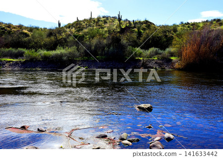 Salt River Recreation Area Arizona Salt River Recreation Area Arizona 141633442
