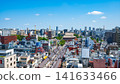 The streets of Senso-ji Temple and Nakamise Street spread out under the blue sky. 141633466