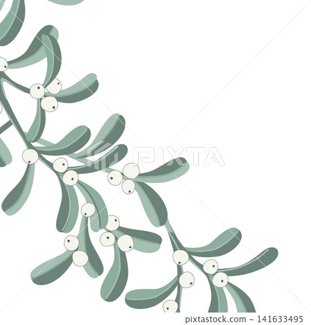 Mistletoe branch frame element isolated on a white background, vector illustration Mistletoe branch frame element isolated on a white background, vector illustration 141633495