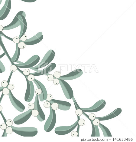 Mistletoe branch border frame element isolated on a white background, vector illustration Mistletoe branch border frame element isolated on a white background, vector illustration 141633496