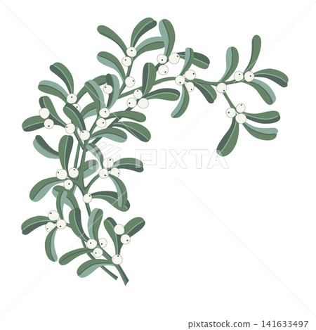 Christmas holiday mistletoe wreath, isolated hand drawn clip art. Vector illustration Christmas holiday mistletoe wreath, isolated hand drawn clip art. Vector illustration 141633497