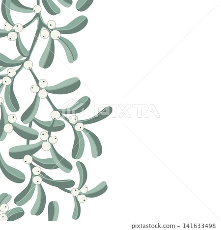Mistletoe branch border frame element isolated on a white background, vector illustration Mistletoe branch border frame element isolated on a white background, vector illustration 141633498